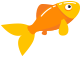 pez naranja